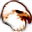 Eagle Eye