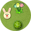 The Hare and the Tortoise