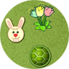 The Hare and the Tortoise