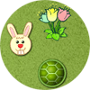 The Hare and the Tortoise