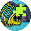 Jigsaw Puzzle
