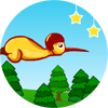 Flying Kiwi