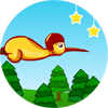 Flying Kiwi