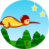 Flying Kiwi