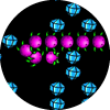 Slimes
