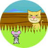 فأر وقط